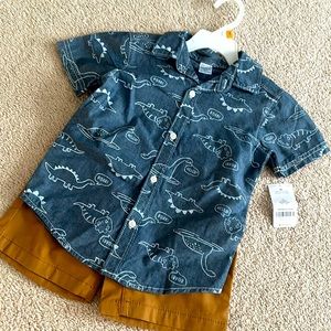 2 pc set shorts and button up shirt